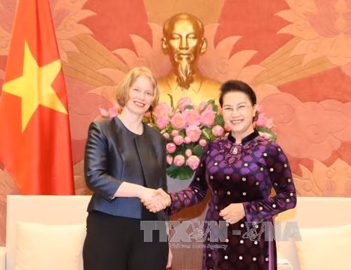 国会主席阮氏金银分别会见澳大利亚和新西兰驻越大使 ảnh 2