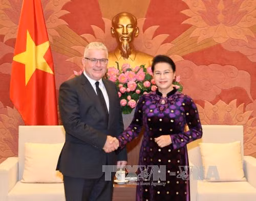 国会主席阮氏金银分别会见澳大利亚和新西兰驻越大使 ảnh 1