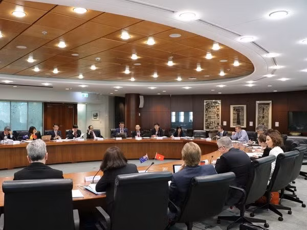 越南与澳大利亚就合作发展问题举行高级别磋商会议 ảnh 1