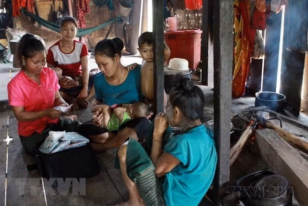 越南针对少数民族妇女的生殖健康APP正式上线 ảnh 1 越南针对少数民族妇女的生殖健康APP正式上线 ảnh 1