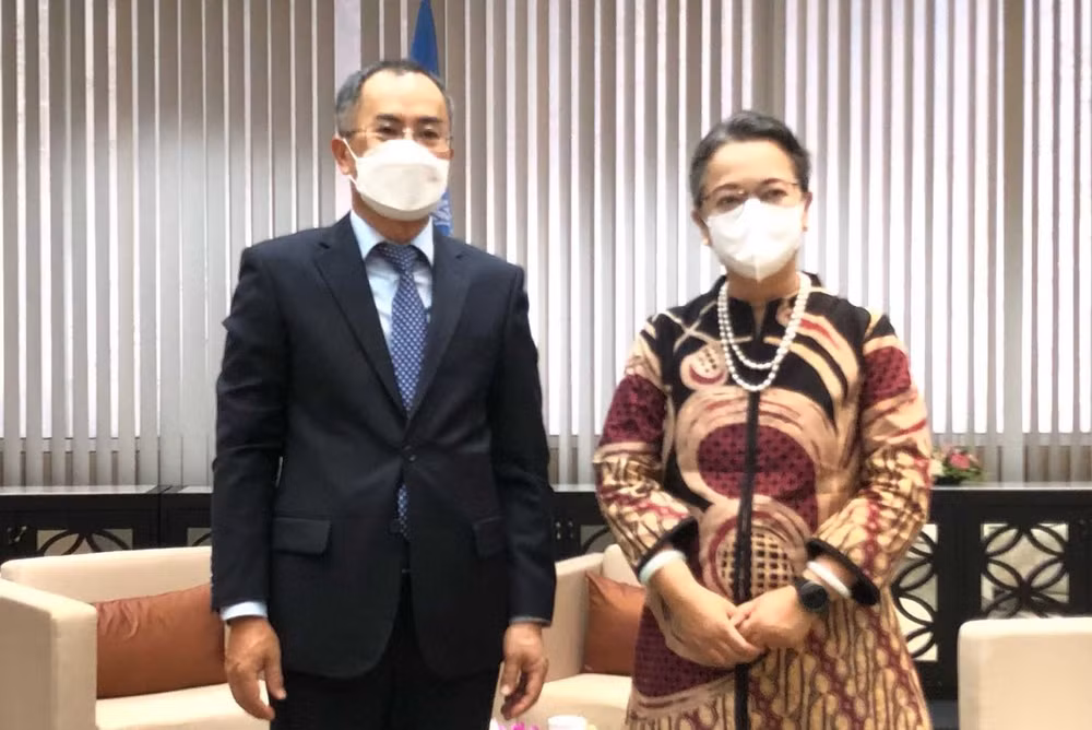 亚太经社会一向重视与越南的伙伴关系 ảnh 1