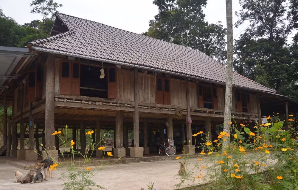 清化省把芒族传统高脚屋打造成社区旅游空间 ảnh 1 清化省把芒族传统高脚屋打造成社区旅游空间 ảnh 1