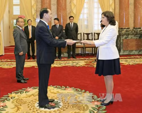 五国新任驻越大使向国家主席陈大光递交国书 ảnh 5 五国新任驻越大使向国家主席陈大光递交国书 ảnh 5