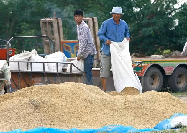泰国仍成为世界第一大米出口国 ảnh 1 泰国仍成为世界第一大米出口国 ảnh 1