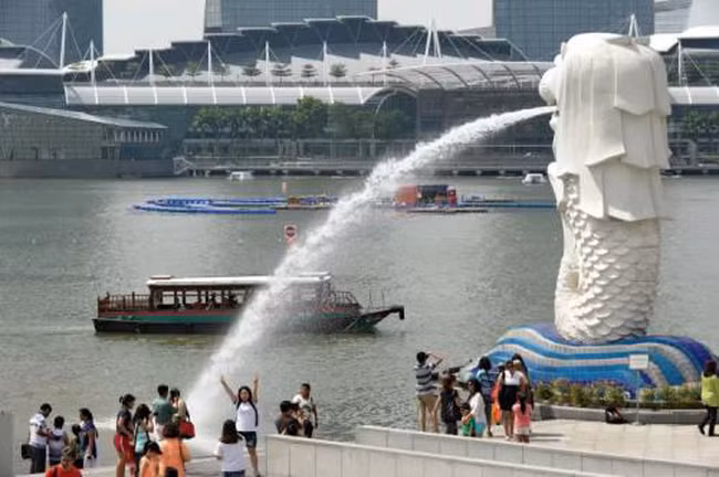 世界经济论坛：新加坡是亚洲最具竞争力的经济体 ảnh 1