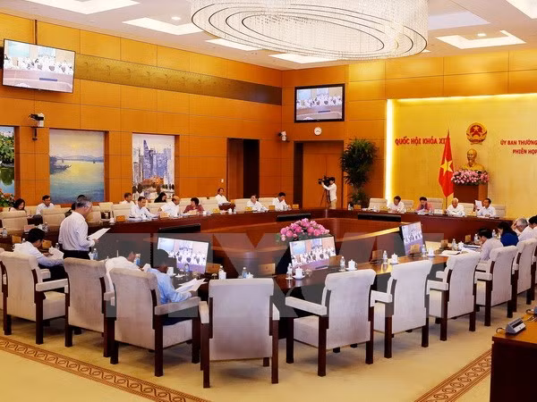 越南第十四届国会常务委员会第十四次会议：致力建立健康公正的竞争环境 ảnh 1