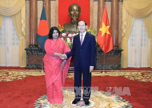 五国新任驻越大使向国家主席陈大光递交国书 ảnh 2 五国新任驻越大使向国家主席陈大光递交国书 ảnh 2