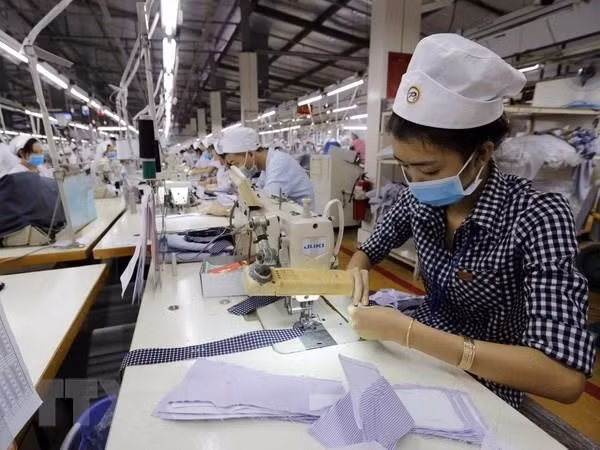 今年2月份越南新注册成立企业数量逾8000家 ảnh 1