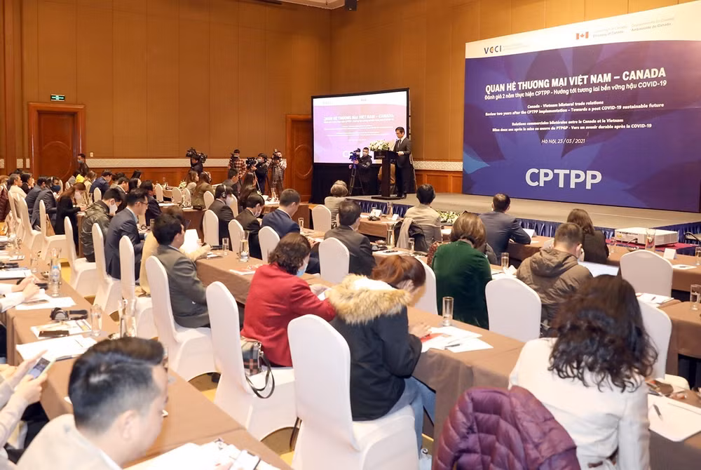 CPTPP协定:为越南与加拿大贸易多样性提供有力支撑 ảnh 1 CPTPP协定:为越南与加拿大贸易多样性提供有力支撑 ảnh 1