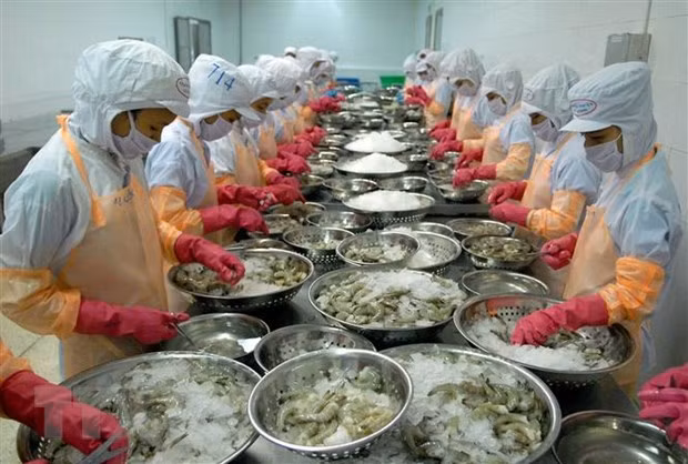 力争至2045年越南跻身世界三大水产品出口国名单 ảnh 1