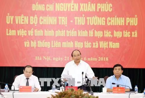政府总理阮春福:合作社联盟在越南参与国际一体化肩负着重要使命 ảnh 2 政府总理阮春福:合作社联盟在越南参与国际一体化肩负着重要使命 ảnh 2