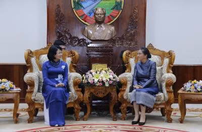 越南国家副主席邓氏玉盛会见老挝国会主席巴妮·雅陶都 ảnh 1 越南国家副主席邓氏玉盛会见老挝国会主席巴妮·雅陶都 ảnh 1