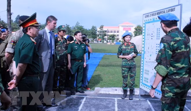 联合国高度评价越南在维和行动中的积极作用 ảnh 1