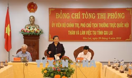 越南国会常务副主席丛氏放： 提高儿童生活质量 ảnh 1