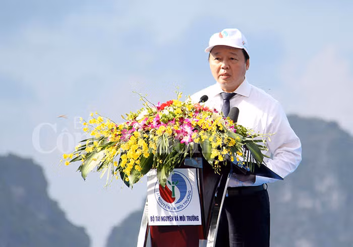 越南各沿海省市携手保护海洋环境 ảnh 1