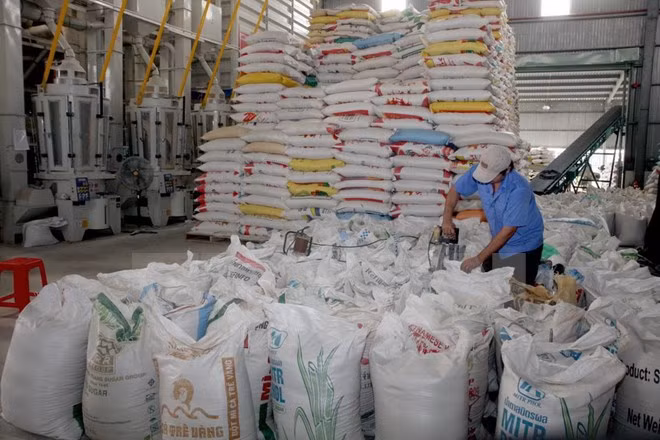 泰国大米产量呈现猛增态势 ảnh 1 泰国大米产量呈现猛增态势 ảnh 1