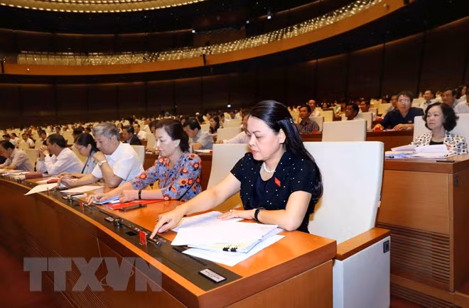 国会发布2019年法律法令制定计划 ảnh 1 国会发布2019年法律法令制定计划 ảnh 1