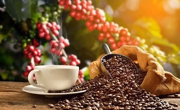 ☕️越通社新闻下午茶(2022.4.22 ) ảnh 4 ☕️越通社新闻下午茶(2022.4.22 ) ảnh 4