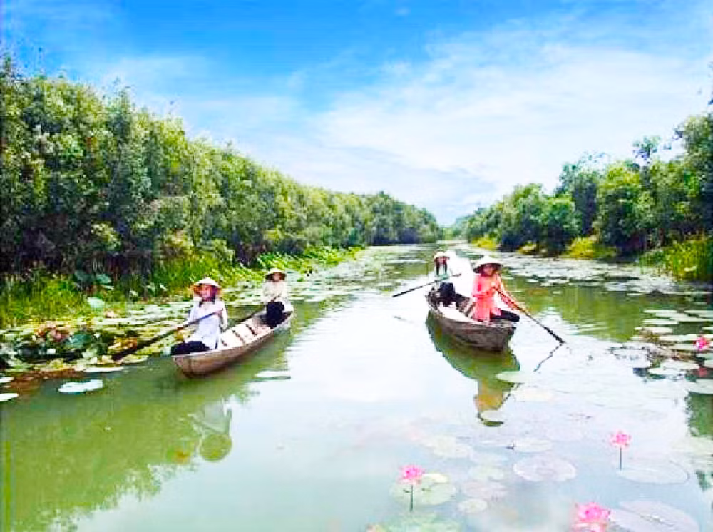 “九龙”地区东部旅游业渐有起色 ảnh 3 “九龙”地区东部旅游业渐有起色 ảnh 3