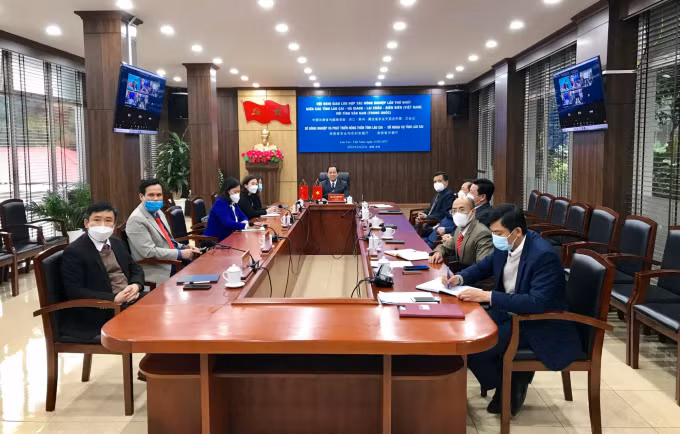 越南四省与中国云南省加强农业合作 ảnh 1