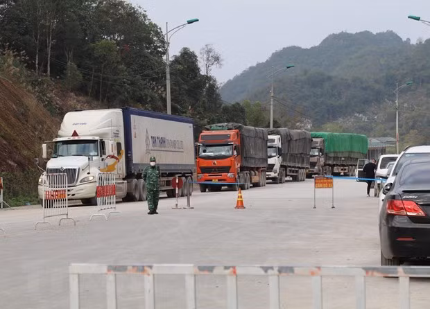 谅山省各口岸进出口活动逐渐复苏 ảnh 1 谅山省各口岸进出口活动逐渐复苏 ảnh 1