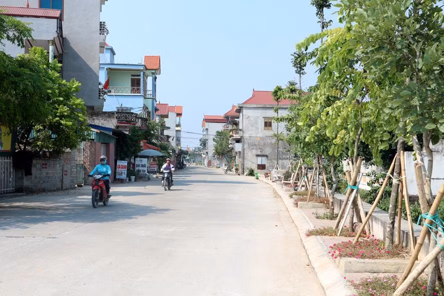 河内农村地区面貌焕然一新 ảnh 2 河内农村地区面貌焕然一新 ảnh 2