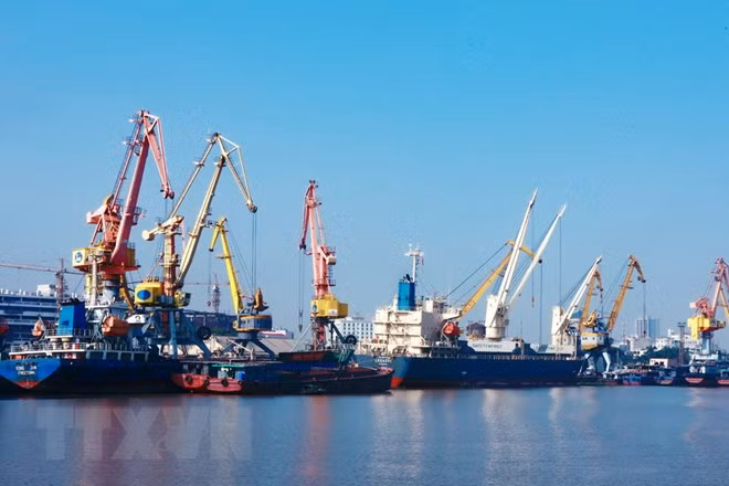 今年前10月越南港口货物吞吐量达4.3万多吨 ảnh 1