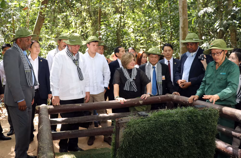 古巴国务委员会主席兼部长会议主席迪亚斯-卡内尔圆满结束对越南进行的正式友好访问 ảnh 1