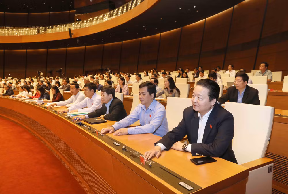 越南第十四届国会第六次会议通过关于批准CPTPP协定的决议 ảnh 1