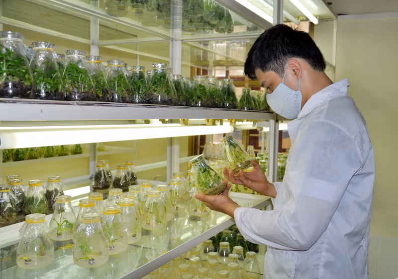 推动农业农村科技应用的研讨会在河内举行 ảnh 2 推动农业农村科技应用的研讨会在河内举行 ảnh 2