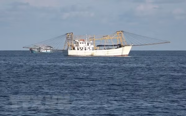 平顺省成为越南最大渔场之一 ảnh 1 平顺省成为越南最大渔场之一 ảnh 1