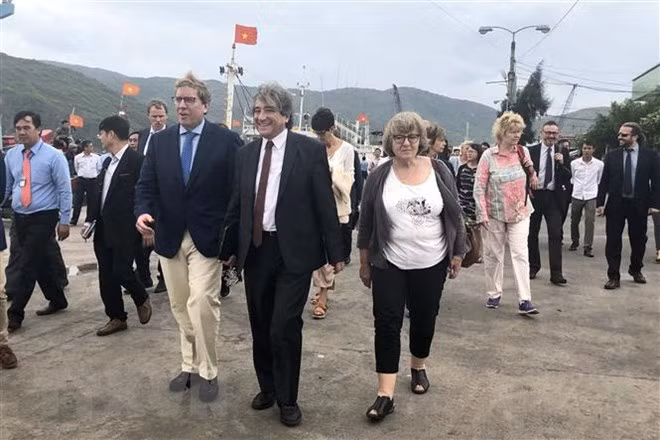 欧洲议会代表团高度评价越南在阻止IUU捕捞所做出的努力 ảnh 1