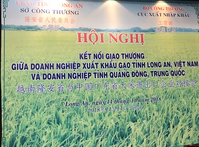 中国广东省大米进口商赴越开展大米交易活动 ảnh 1