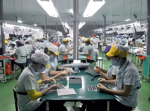 永福省电力及电子辅助产业增长8% ảnh 1