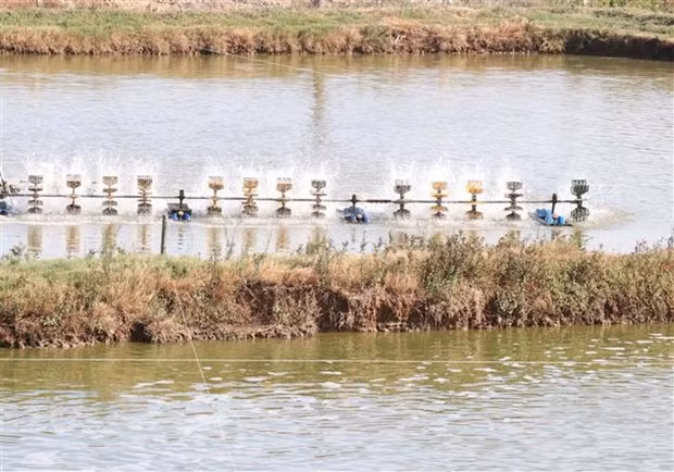 柬埔寨在湄公河上游成立水产研究中心 ảnh 1 柬埔寨在湄公河上游成立水产研究中心 ảnh 1