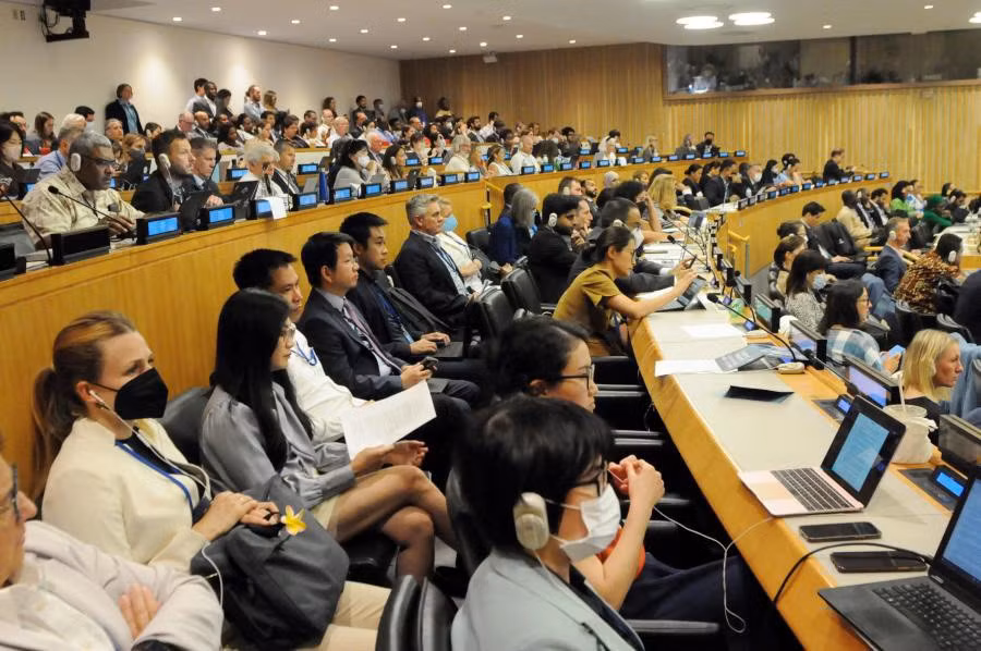越南为联合国关于国家管辖范围以外区域海洋生物多样性的国际文书谈判进程积极贡献力量 ảnh 1 越南为联合国关于国家管辖范围以外区域海洋生物多样性的国际文书谈判进程积极贡献力量 ảnh 1