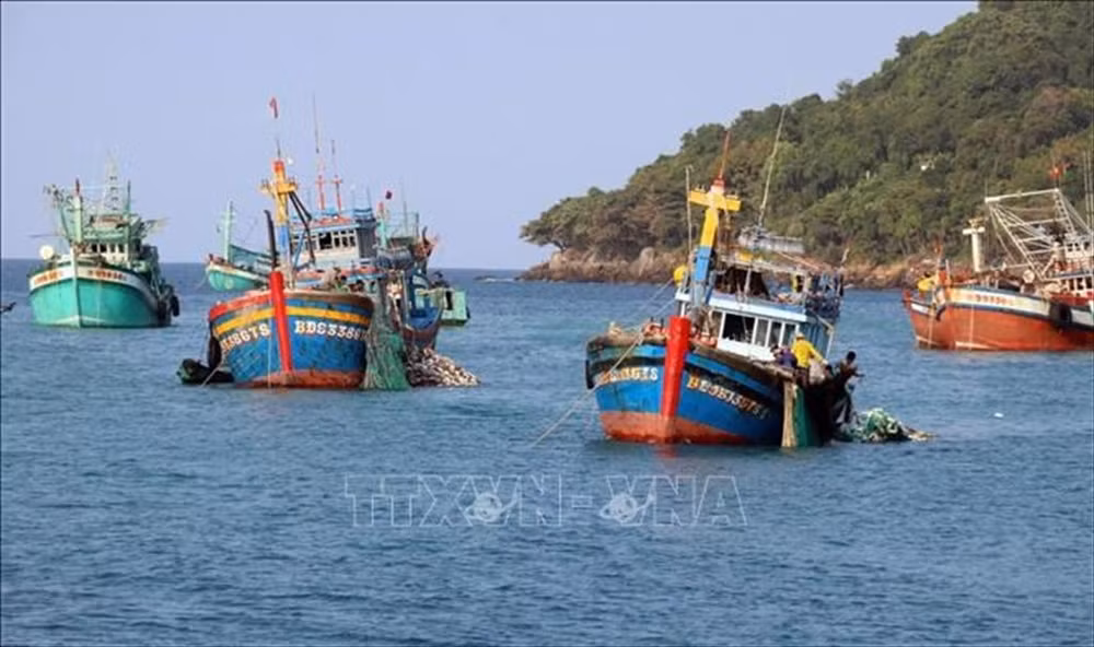 坚江和金瓯两省合作打击“非法、不报告和不管制捕鱼”(IUU) ảnh 1 坚江和金瓯两省合作打击“非法、不报告和不管制捕鱼”(IUU) ảnh 1