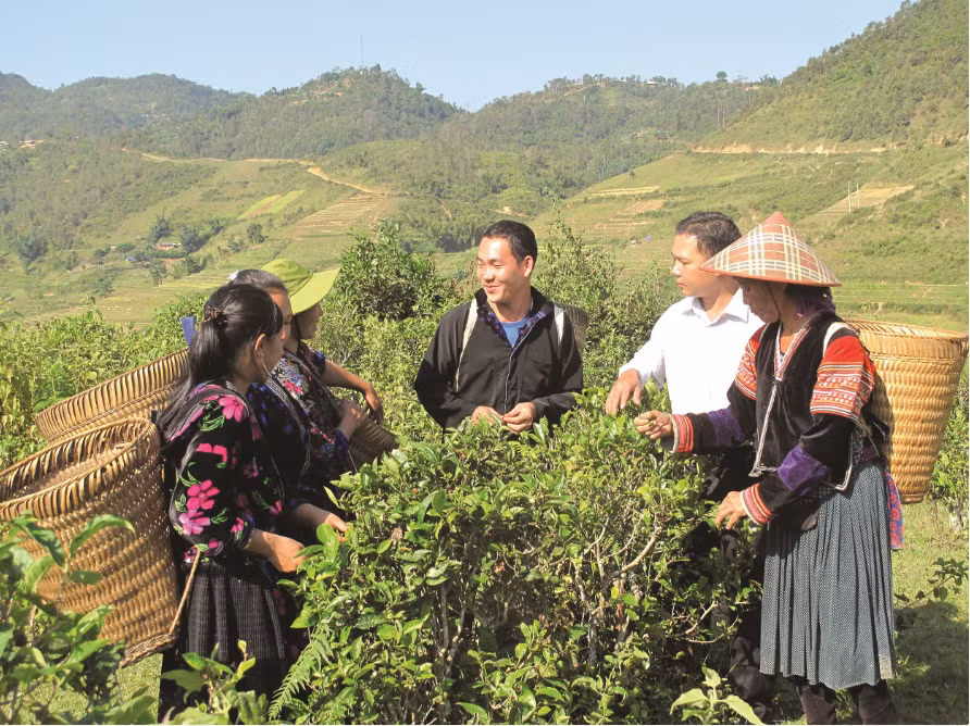山罗省多管齐下帮扶贫困地区少数民族脱贫 ảnh 1