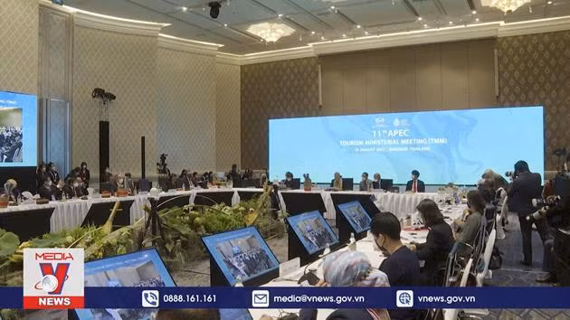 亚太经合组织一致同意加强合作加速旅游业复苏 ảnh 1