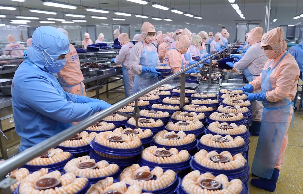 今年上半年越南对荷兰出口额同比增长29.6% ảnh 1 今年上半年越南对荷兰出口额同比增长29.6% ảnh 1