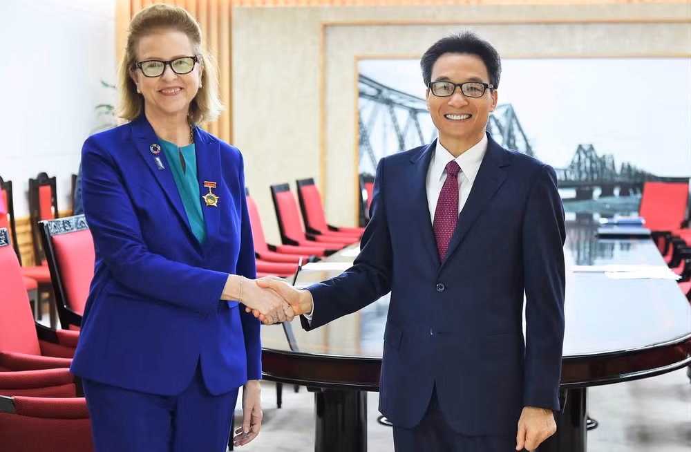 越南政府副总理武德儋会见即将离任的UNDP驻越南首席代表凯特林·维森 ảnh 1