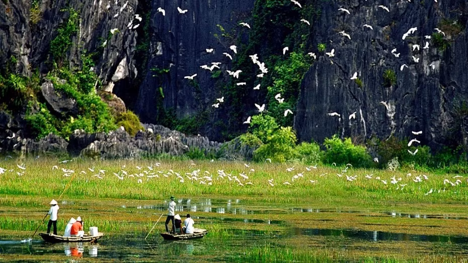 越南努力实现生态旅游发展与生物多样性保护相结合 ảnh 2 越南努力实现生态旅游发展与生物多样性保护相结合 ảnh 2