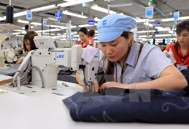 东盟企业探索越南市场 ảnh 1 东盟企业探索越南市场 ảnh 1