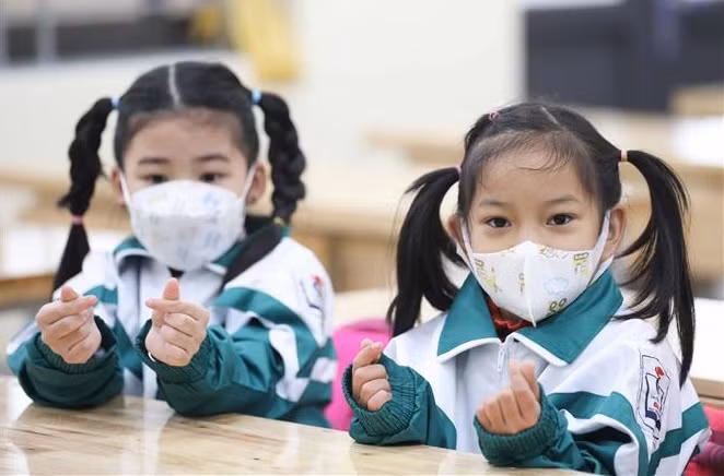 越南政府批准学校健康教育计划 致力于打造健康的越南 ảnh 1