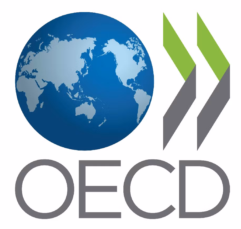 OECD东南亚区域项目部长级会议将于下周举行 ảnh 1 OECD东南亚区域项目部长级会议将于下周举行 ảnh 1
