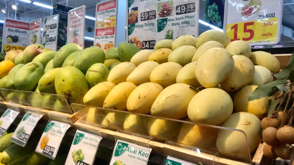 EVFTA为越南商品进入瑞典市场注入动力 ảnh 1