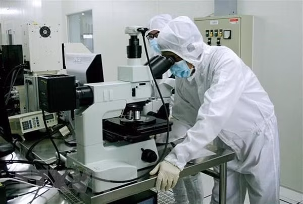 革新与创新:越南科学技术部与各地方携手推动科学技术发展 ảnh 1 革新与创新:越南科学技术部与各地方携手推动科学技术发展 ảnh 1