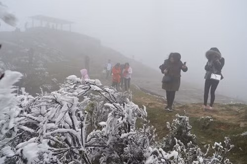 越南北部山区和中部以北地区出现严寒天气 可能出现寒霜冻雾现象 ảnh 1
