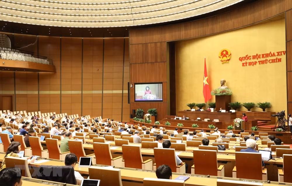2020年越南国会的烙印 ảnh 2 2020年越南国会的烙印 ảnh 2