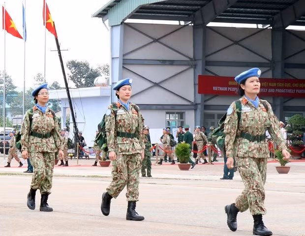 越南国会颁布关于参加联合国维和力量的决议 ảnh 1
